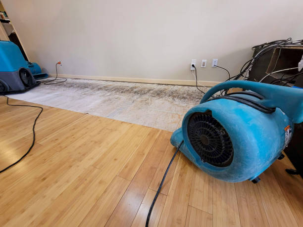 Professional Flood Damage Cleanup technician working in Burnham, IL